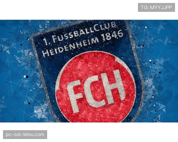 财政视角：德甲中游球队的生存之道——以海登海姆为例