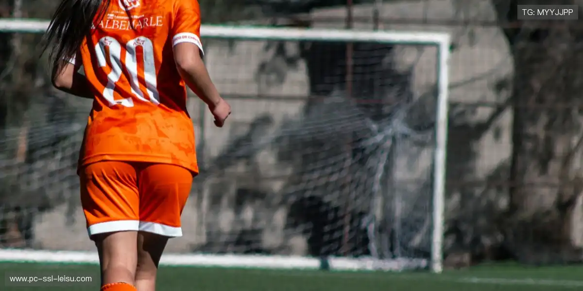 💪 极限力量对撞,硬核体育美学极致绽放,力量感冲破屏幕!🏆